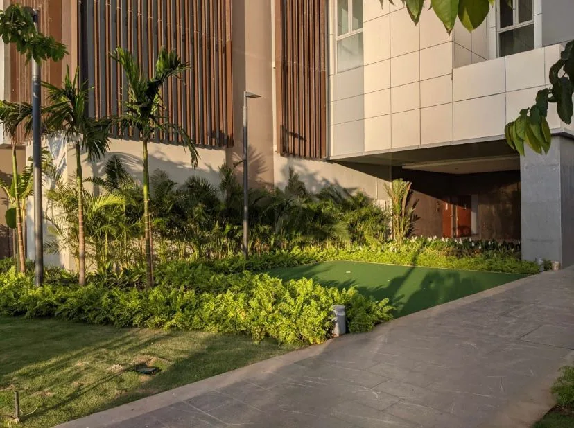Terrace Garden India landscape project